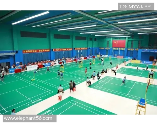 2025届毕业生羽毛球赛场精彩回顾与战术深度解析